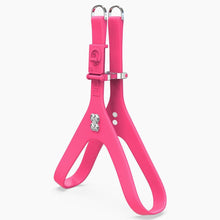 Load image into Gallery viewer, Boneflex Signature Silver Bone Harness
