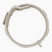 Load image into Gallery viewer, Boneflex Signature Spike Silver Collar
