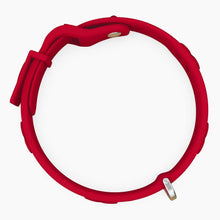 Load image into Gallery viewer, Boneflex Signature Spike Silver Collar
