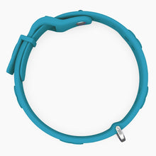 Load image into Gallery viewer, Boneflex Signature Silver Bones Collar
