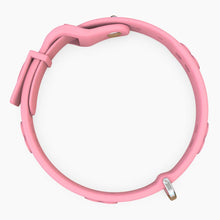 Load image into Gallery viewer, Boneflex Signature Spike Silver Collar
