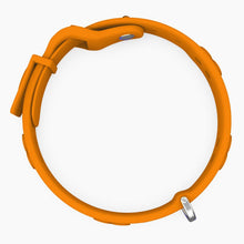 Load image into Gallery viewer, Boneflex Signature Silver Bones Collar
