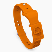 Load image into Gallery viewer, Boneflex Limited Collars
