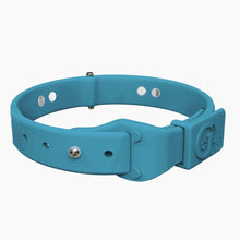 Load image into Gallery viewer, Boneflex+ Signature Spike Silver Collar
