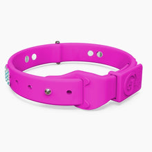 Load image into Gallery viewer, Boneflex Ultra Hot Pink Collar
