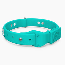 Load image into Gallery viewer, Boneflex Ultra Teal Collar
