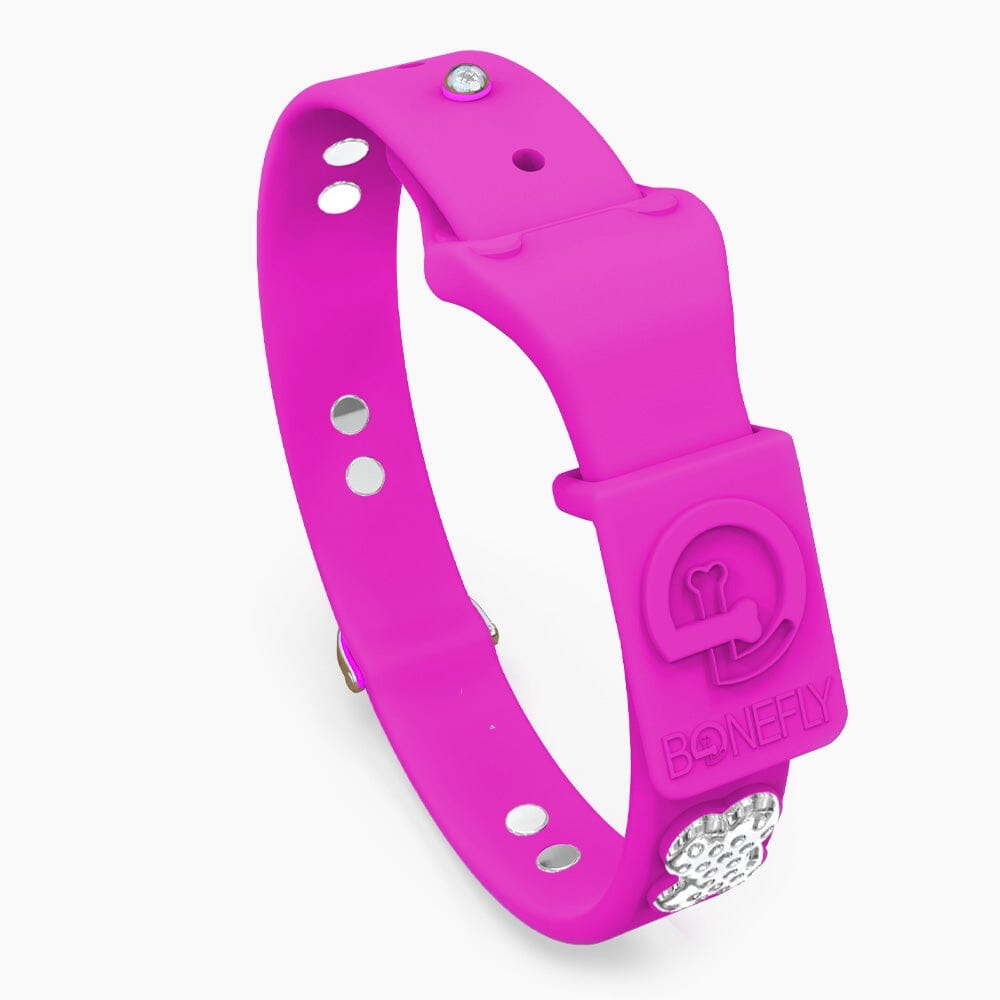 Boneflex Ultra Hot Pink Collar