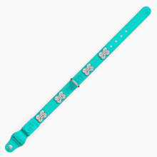 Load image into Gallery viewer, Boneflex Ultra Teal Collar
