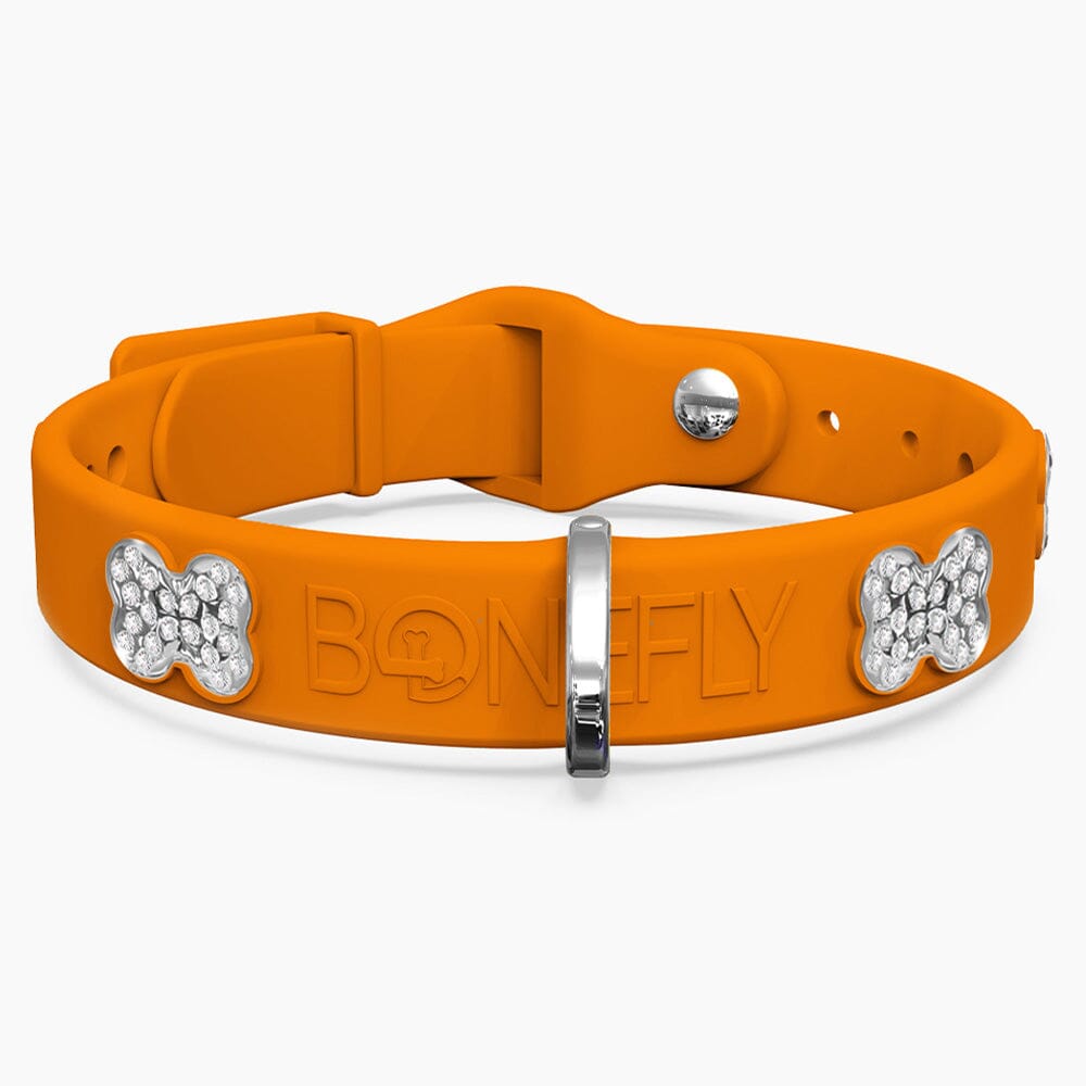Boneflex Limited Ultra Mandarine Collar