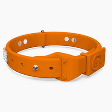 Load image into Gallery viewer, Boneflex Limited Ultra Mandarine Collar
