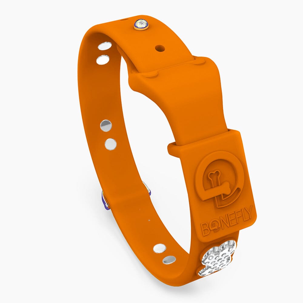 Boneflex Limited Ultra Mandarine Collar