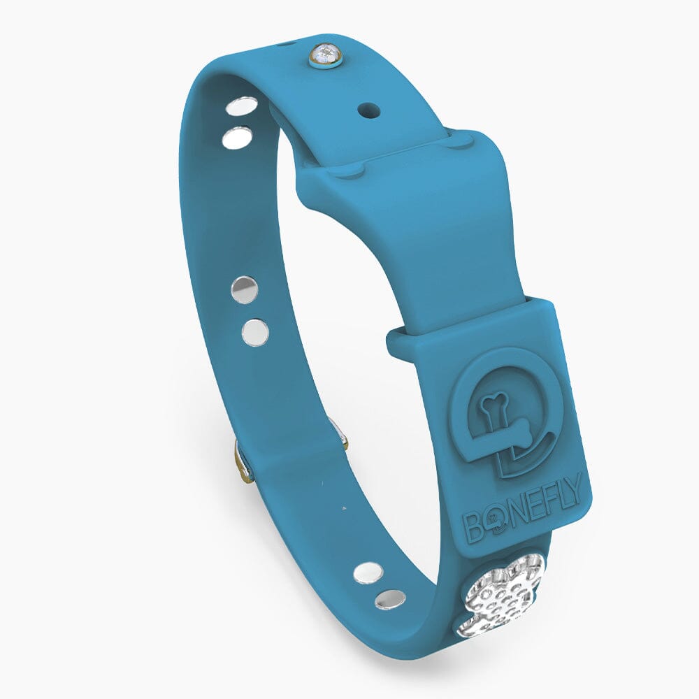 Boneflex Limited Ultra Peacock Collar