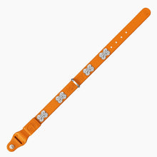 Load image into Gallery viewer, Boneflex Limited Ultra Mandarine Collar
