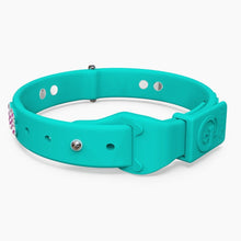 Load image into Gallery viewer, Boneflex Ultra Teal Collar
