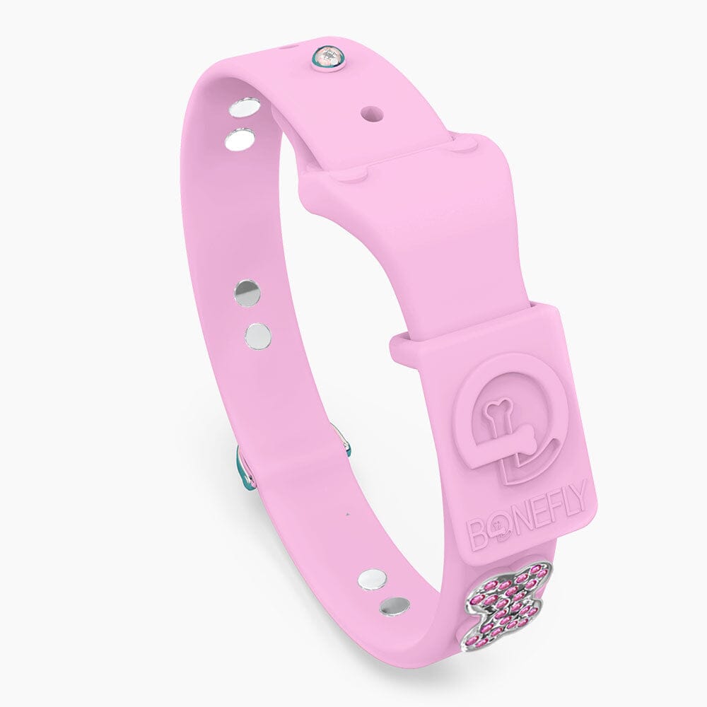 Boneflex Limited Ultra Lavender Collar