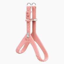 Load image into Gallery viewer, QuiltFLY Signature Silver Bones Harness
