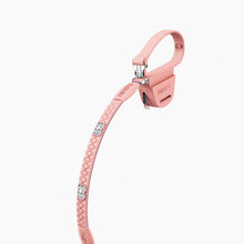 Load image into Gallery viewer, QuiltFLY Signature Silver Bones Leash
