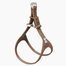 Load image into Gallery viewer, QuiltFLY Signature Silver Bones Harness
