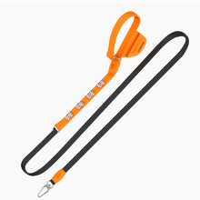 Load image into Gallery viewer, Boneflex Signature Silver Bones Leash
