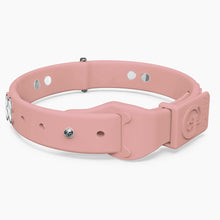 Load image into Gallery viewer, Boneflex Signature Silver Bones Collar
