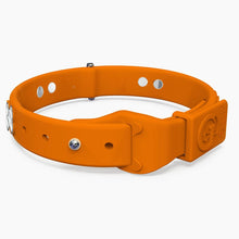 Load image into Gallery viewer, Boneflex Signature Silver Bones Collar
