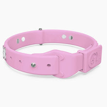 Load image into Gallery viewer, Boneflex Signature Silver Bones Collar
