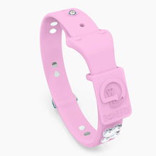Load image into Gallery viewer, Boneflex Signature Silver Bones Collar
