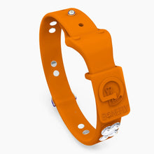Load image into Gallery viewer, Boneflex Signature Silver Bones Collar
