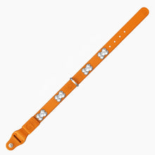 Load image into Gallery viewer, Boneflex Signature Silver Bones Collar
