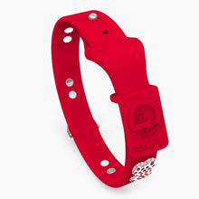 Load image into Gallery viewer, Boneflex Ultra Red Collar
