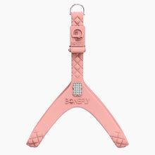 Load image into Gallery viewer, QuiltFLY Signature Spike Bones Harness
