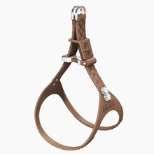 Load image into Gallery viewer, QuiltFLY Signature Spike Bones Harness
