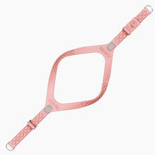 Load image into Gallery viewer, QuiltFLY Signature Spike Bones Harness
