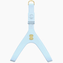 Load image into Gallery viewer, Boneflex Signature Spike Gold Harness
