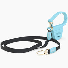 Load image into Gallery viewer, Flexfly
