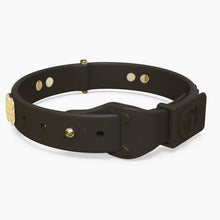 Load image into Gallery viewer, Boneflex Signature Spike Gold Collar
