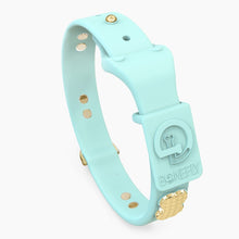 Load image into Gallery viewer, Boneflex Signature Spike Gold Collar
