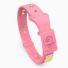 Load image into Gallery viewer, Boneflex Signature Spike Gold Collar
