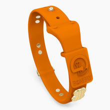 Load image into Gallery viewer, Boneflex Signature Spike Gold Collar
