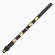 Load image into Gallery viewer, Boneflex Signature Spike Gold Collar
