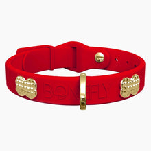 Load image into Gallery viewer, Boneflex+ Signature Spike Gold Collar
