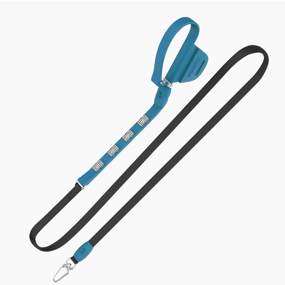 Boneflex Signature Spike Silver Leash