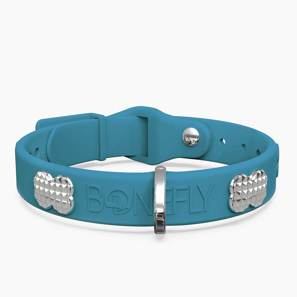Boneflex Signature Spike Silver Collar