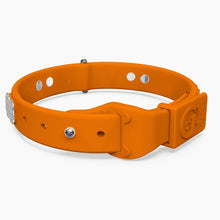 Load image into Gallery viewer, Boneflex Signature Spike Silver Collar
