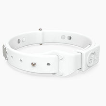 Load image into Gallery viewer, Boneflex Signature Spike Silver Collar
