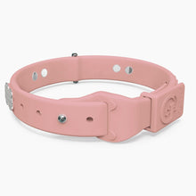 Load image into Gallery viewer, Boneflex Signature Spike Silver Collar
