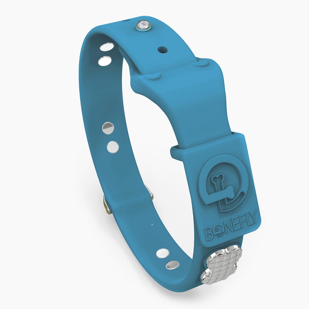 Boneflex Signature Spike Silver Collar