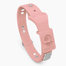 Load image into Gallery viewer, Boneflex Signature Spike Silver Collar
