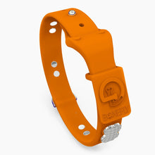 Load image into Gallery viewer, Boneflex Signature Spike Silver Collar
