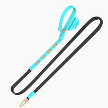 Load image into Gallery viewer, Boneflex Signature Spike Gold Leash
